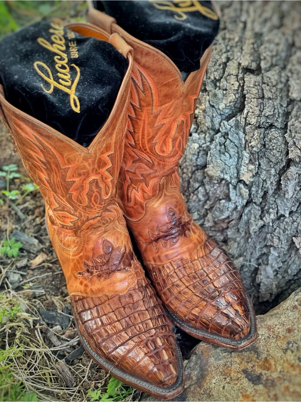 Lucchese Brown Crocodile-Textured Western Boots